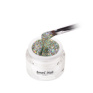 70267 Emmi Nail Glitter Gel Silver Rainbow 5ml -F270-