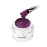 70314 Emmi Nail Glossy Gél Grape 5ml -F212-